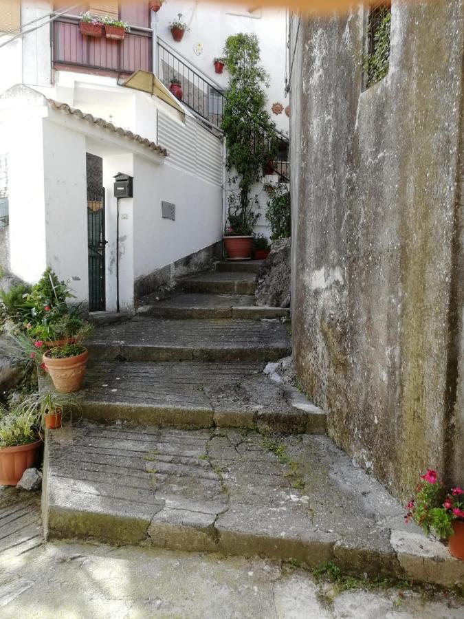 Casa- Vacanza Giro' - C2A6Peu3Ow Aieta Exterior foto